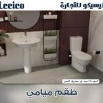 1716541310temp3774767561789275605